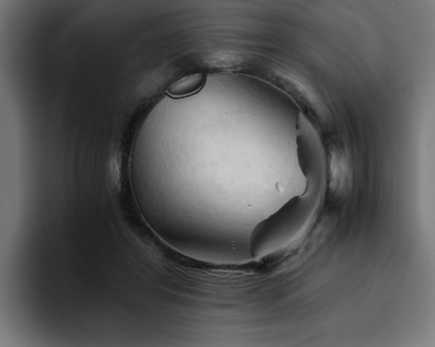 X0000094450404200711081309