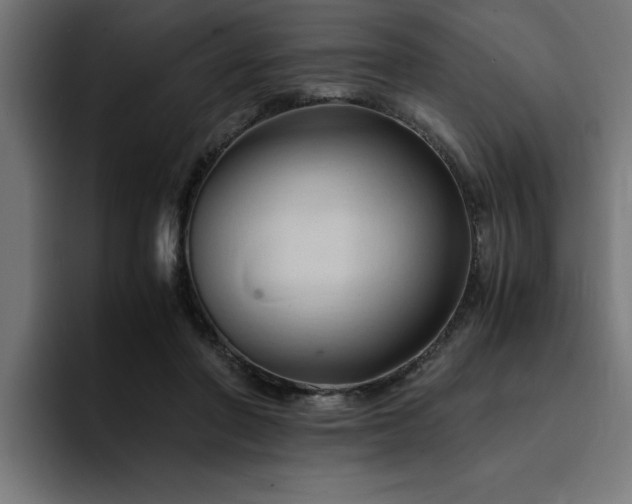 X0000094450406200711081309