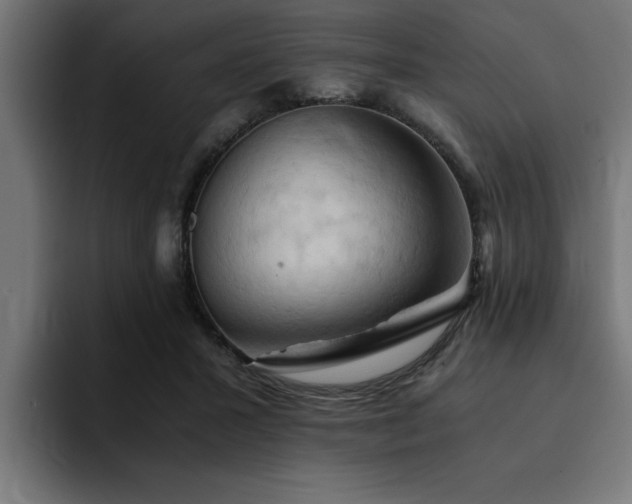 X0000094450407200711081309