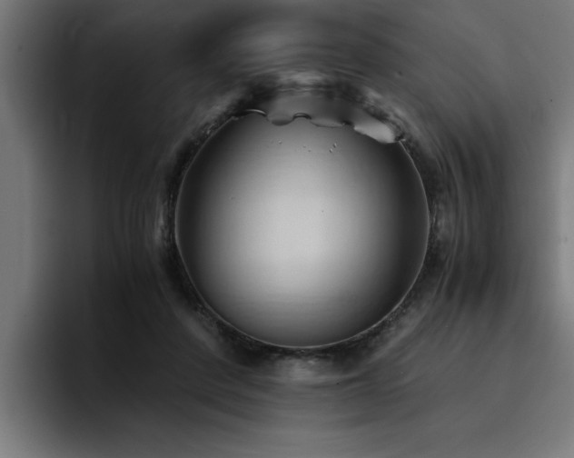 X0000094450408200711081309