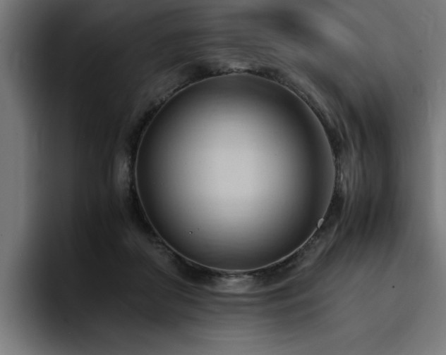 X0000094450410200711081309