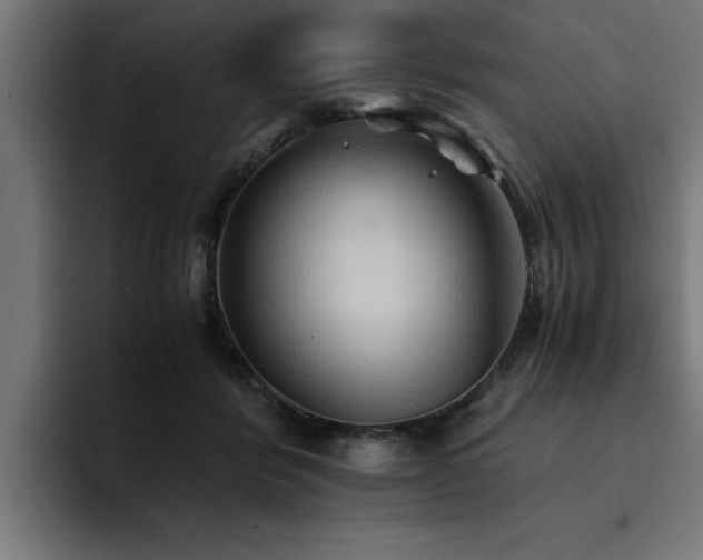 X0000094450412200711081309