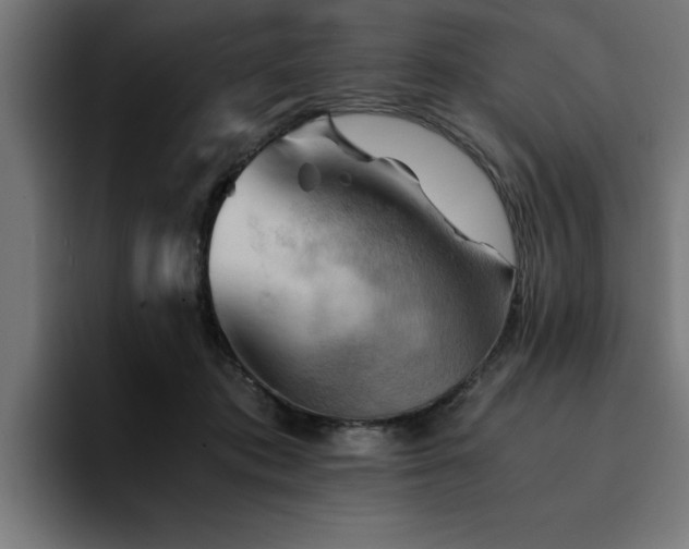 X0000094450413200711081309
