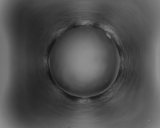 X0000094450415200711081309