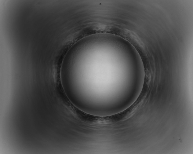 X0000094450416200711081309