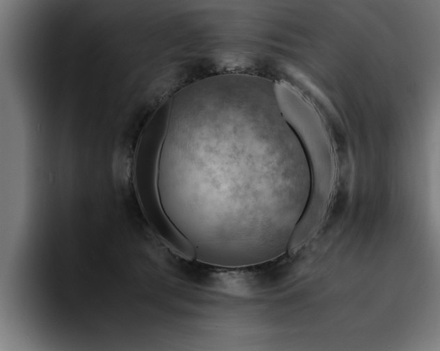 X0000094450417200711081309