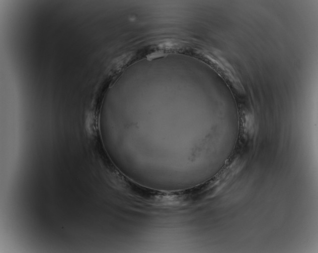 X0000094450419200711081309