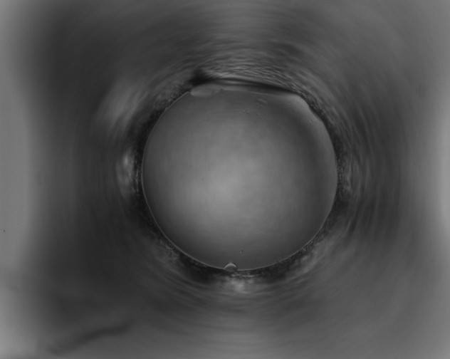 X0000094450420200711081309