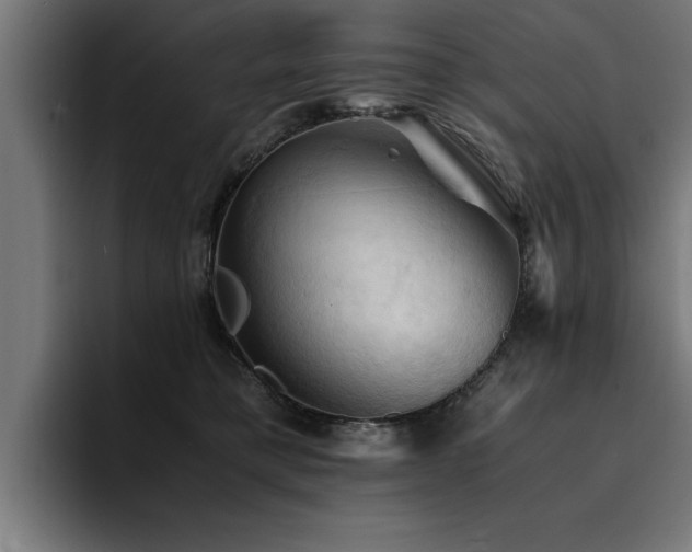 X0000094450421200711081309