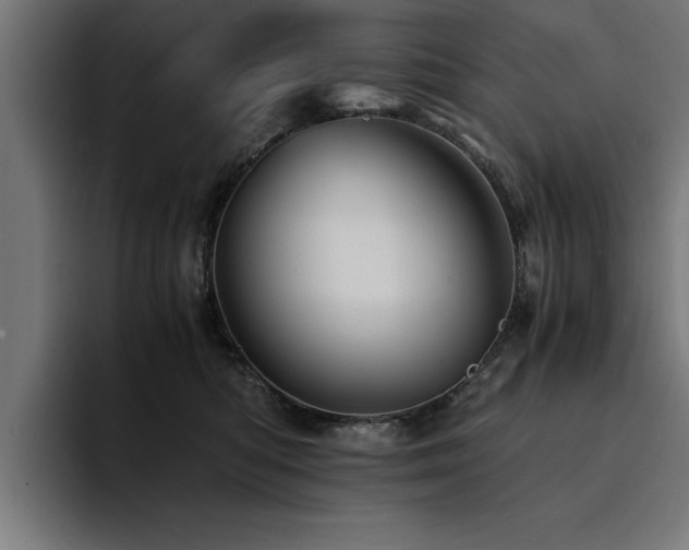 X0000094450422200711081309