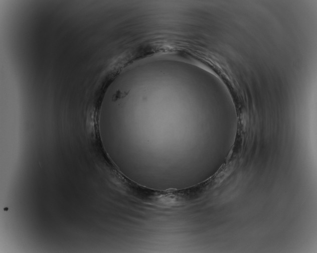 X0000094450423200711081309
