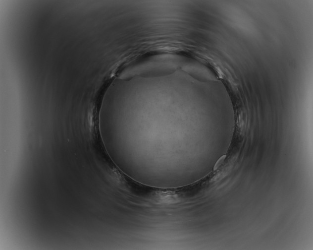 X0000094450424200711081309