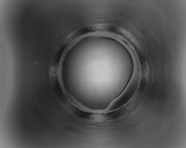X0000094450425200711081309