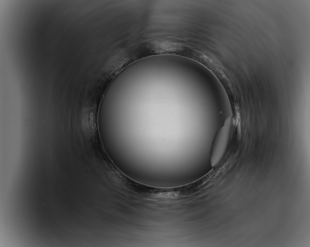 X0000094450426200711081309