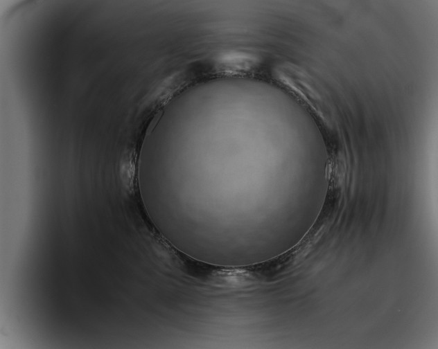 X0000094450427200711081309
