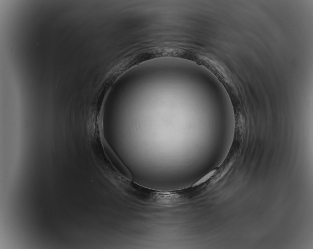 X0000094450429200711081309