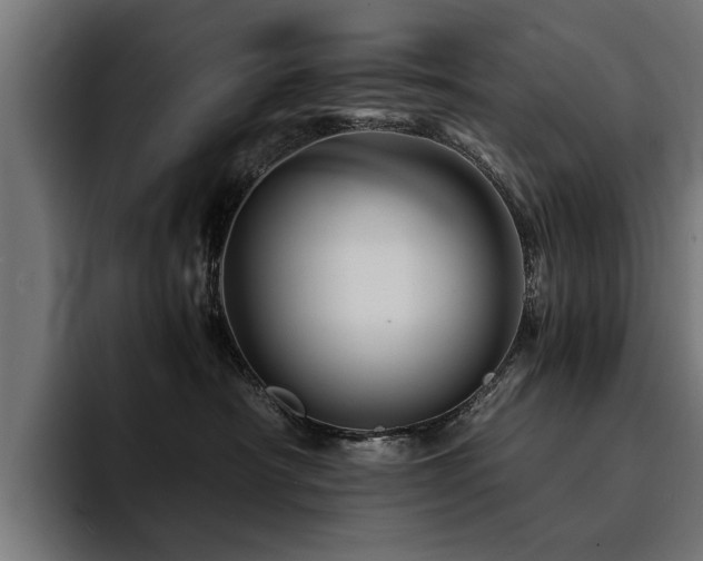 X0000094450430200711081309