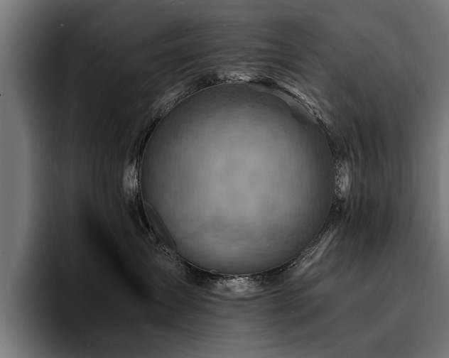 X0000094450431200711081309