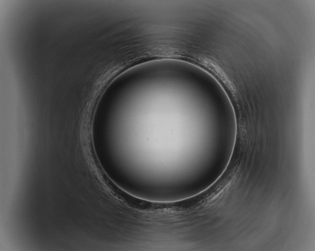X0000094450433200711081308