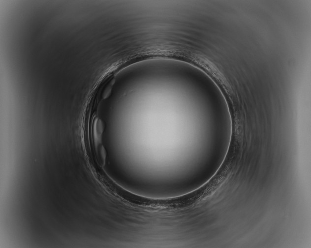 X0000094450434200711081308