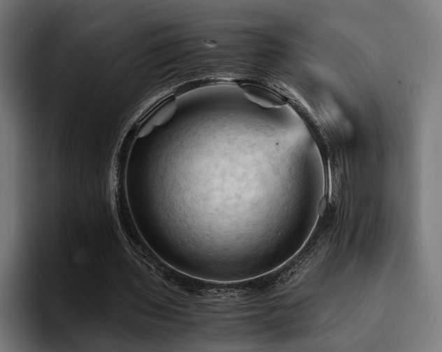 X0000094450435200711081308