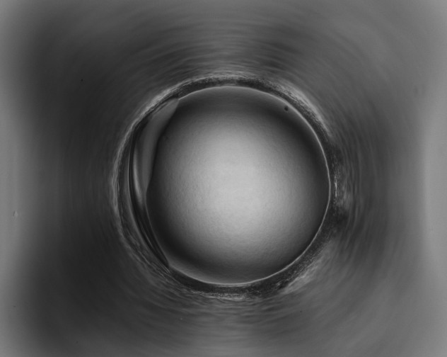 X0000094450436200711081308