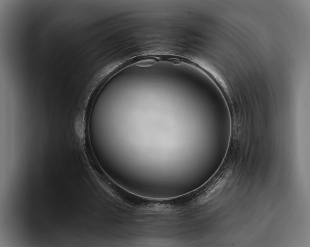 X0000094450437200711081308