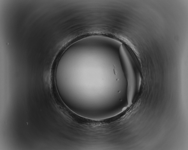 X0000094450439200711081308