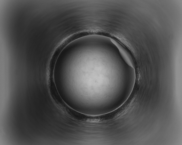 X0000094450440200711081308