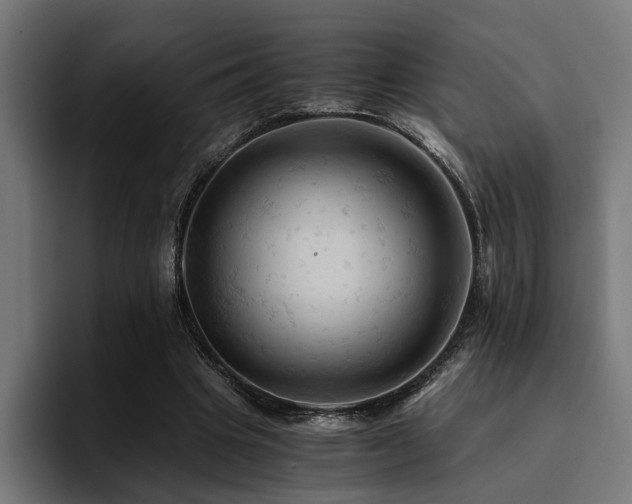 X0000094450441200711081308