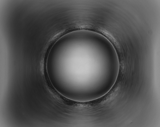 X0000094450442200711081308