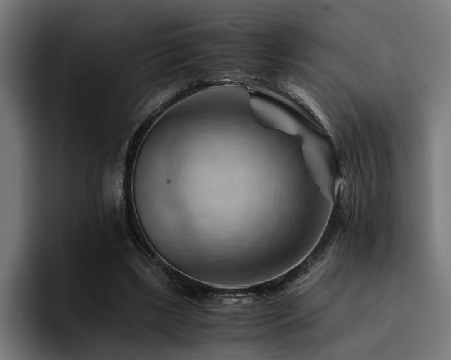 X0000094450443200711081308
