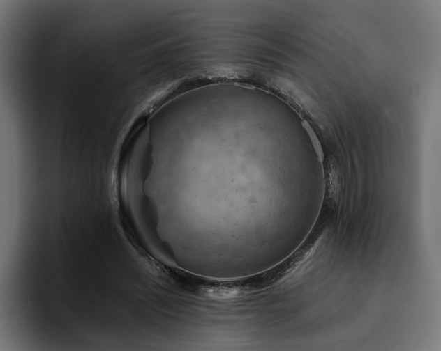 X0000094450444200711081308