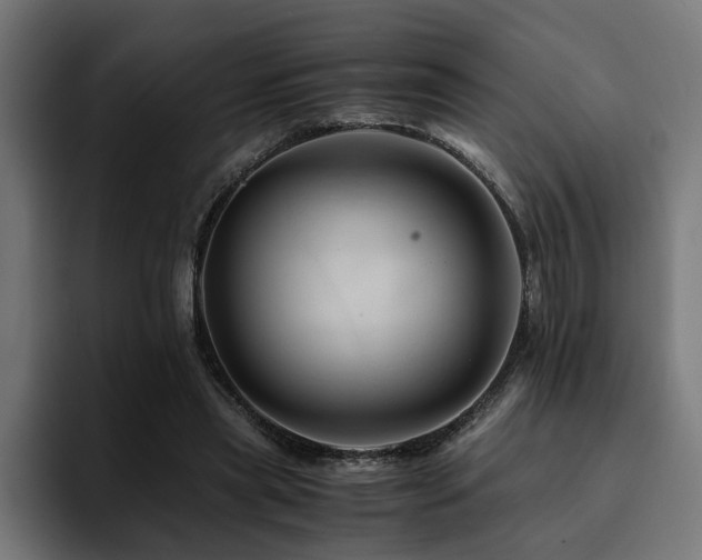 X0000094450445200711081308