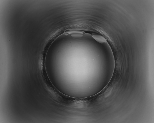 X0000094450446200711081308