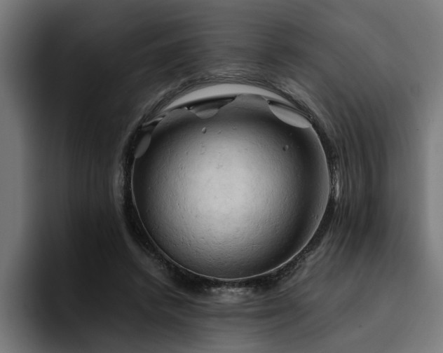 X0000094450448200711081308