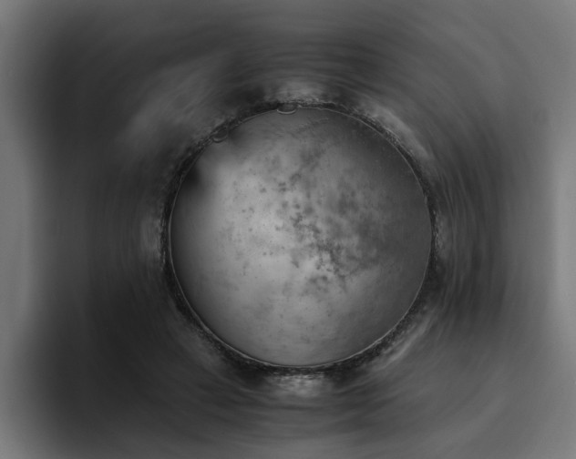 X0000094450449200711081308