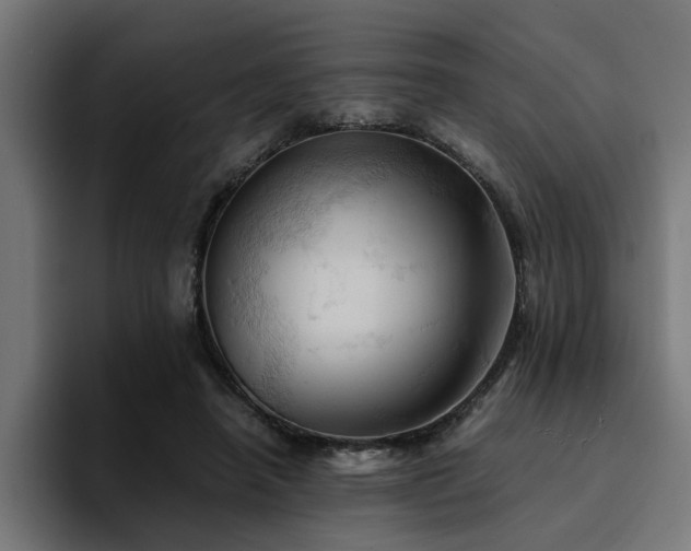 X0000094450450200711081308