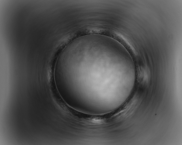 X0000094450451200711081308