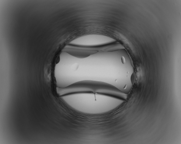X0000094450452200711081308