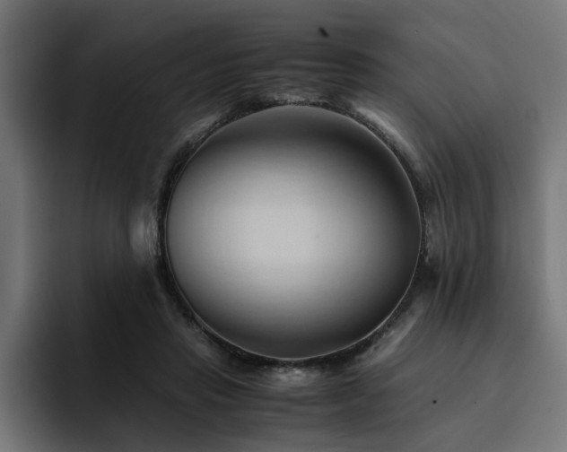 X0000094450453200711081308