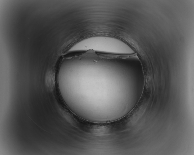 X0000094450454200711081308