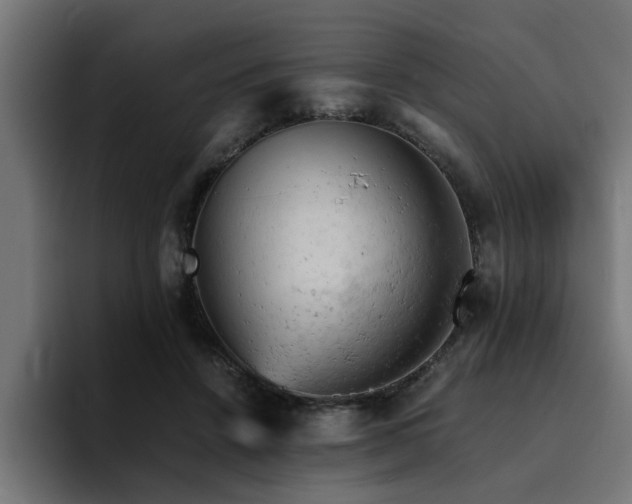 X0000094450456200711081308