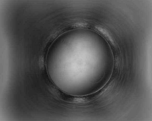 X0000094450457200711081308