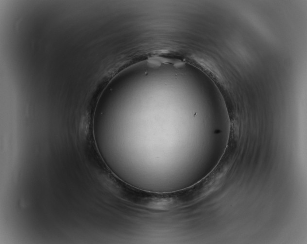 X0000094450458200711081308