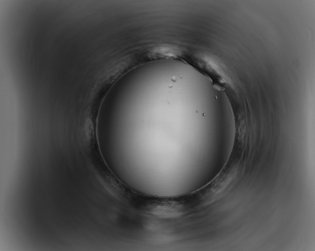 X0000094450459200711081308