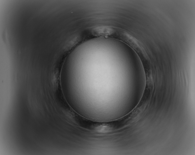 X0000094450460200711081308