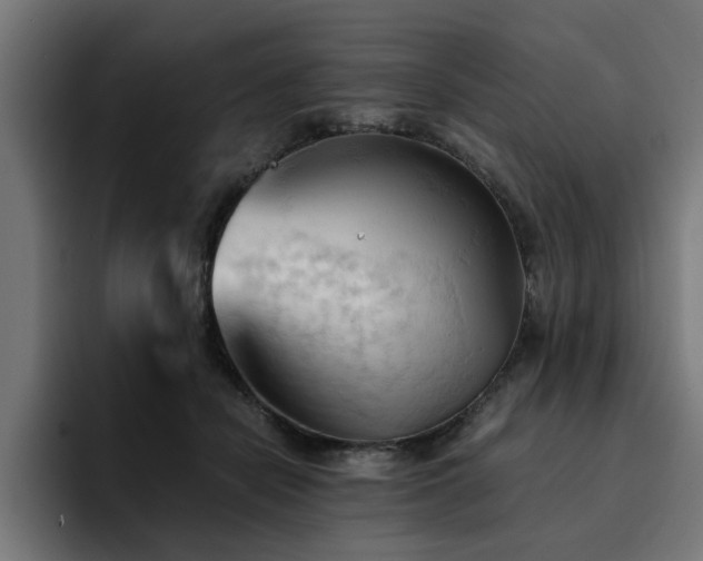 X0000094450462200711081308