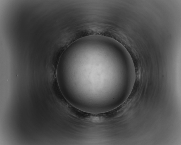 X0000094450464200711081308