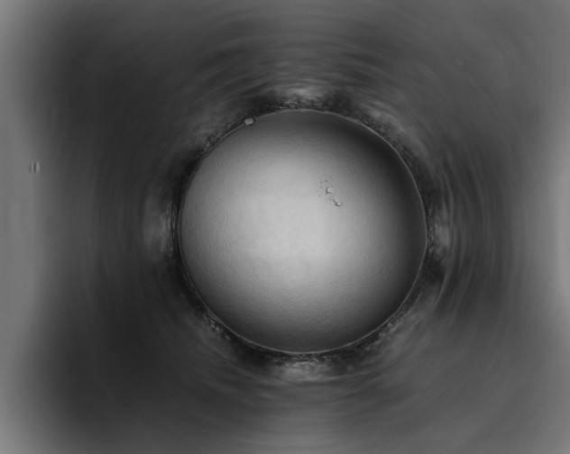 X0000094450468200711081308
